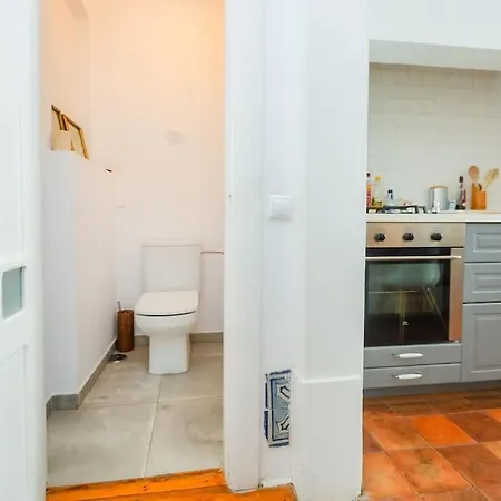 Апартаменты Spacious 3br In Praca Da Figueira-central Location